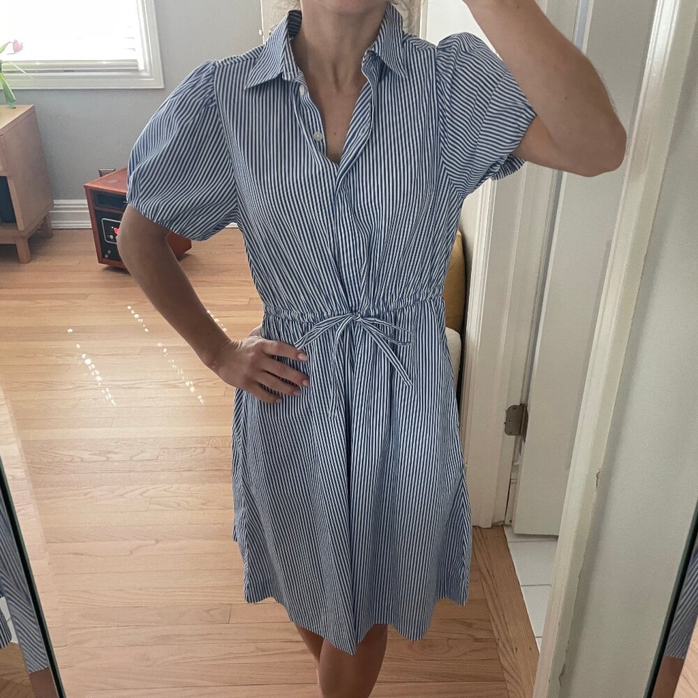 J Crew Bubble Sleeve Dress